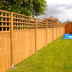 Trellis fencing