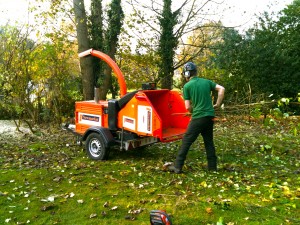 2. tree services
