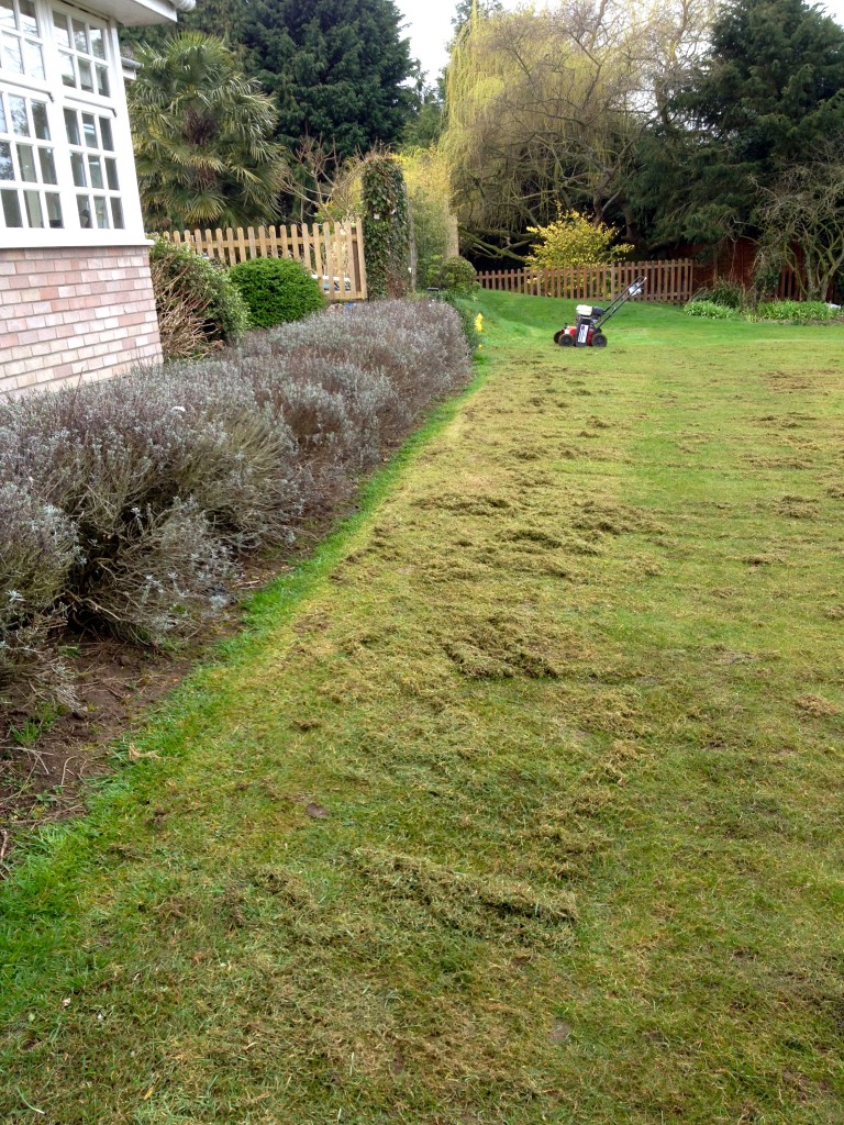3. Lawn maintenance