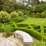 Hedges