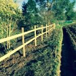 Field post and rail fencing